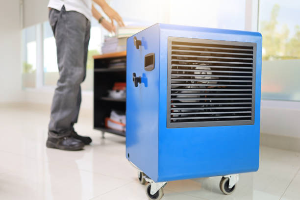 Mold Removal for HVAC Installations in Fairview, TX
