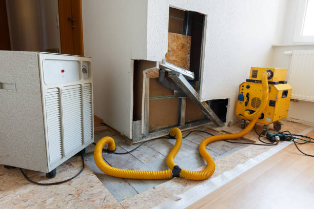 Dehumidification Services in Fairview, TX